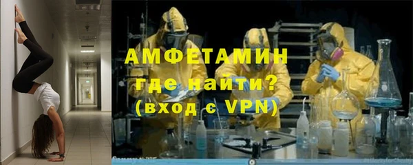 сатива Костерёво