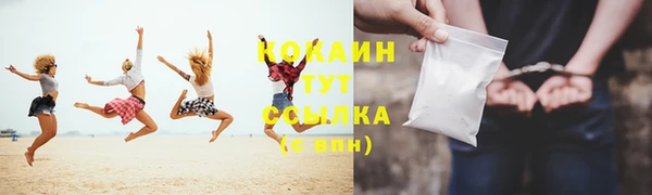 сатива Костерёво