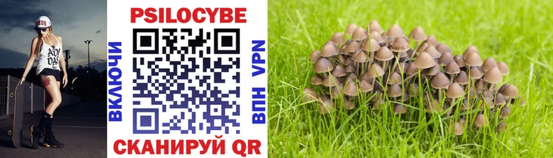 Купить где  Бородино  Галлюциногенные грибы ЛСД 