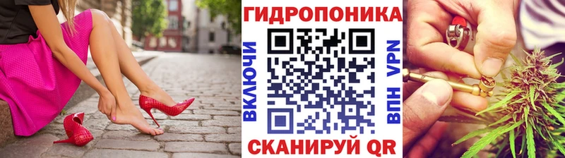 Купить  Бородино  Марихуана ГИДРОПОН 